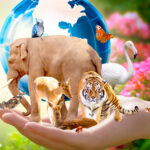 CHAT GPT AND AI TOOLS ARE REVOLUTIONIZING EDUCATION AND STUDENT LEARNING BEHAVIOUR
