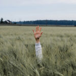 Servant Leadership: Leading with Purpose, Service, and Humanity