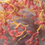 Artificial Intelligence in Life Sciences: Transforming Research, Medicine, and Beyond