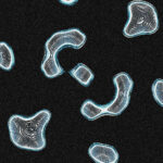 Cloning and Ethical Considerations: Balancing Science and Morality