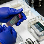 Plant Biotechnology for Food Security: Growing Solutions for a Hungry World