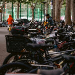 Role of Internship and Apprenticeship