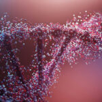 Cricket as a Sport: A Tradition, a Passion, and a Global Phenomenon