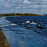 Life Science: Exploring the Building Blocks of Life and the Future of Human Progress