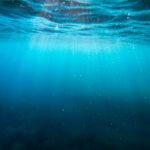 Understanding Gen Z Kids: The Digital Generation Shaping the Future