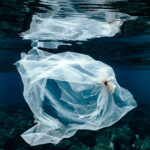 Building Dreams from Scratch: The Journey of Business Startups