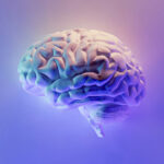 18th Century Arts: A Golden Era of Elegance, Reason, and Revolution