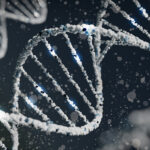 Connectivity: Powering the Modern World Through Digital Links