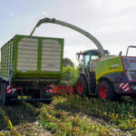 Graphic Knowledge: The Power of Visual Understanding in the Digital Age