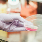 Tidal Energy: Harnessing the Power of the Ocean for a Sustainable Future