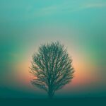 Cartoon Making: Bringing Stories and Characters to Life