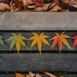 The Creative World of a Logo Artist