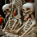 Green Environment: The Foundation of a Sustainable Future