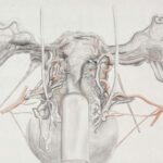 Antarctica Shows Melting: A Warning from the World’s Coldest Continent