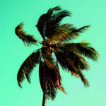 E-Magazines: The Digital Evolution of Publishing