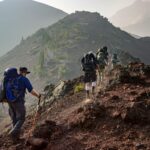 Quilling Art: The Beauty of Paper Transformed into Elegance