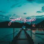 Wildlife Photography: Capturing Nature’s Untamed Beauty