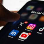 Sparrow Bird: The Small Companion of Human Life