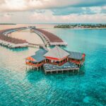 Zip Tags: Small Tools with Big Utility