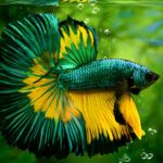 Wi-Fi Connection: The Invisible Thread Powering Modern Life