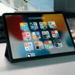 Sea Shores: Where Nature Meets the Soul