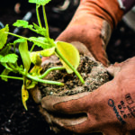 Book Designing: The Art of Turning Words into Visual Stories