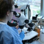 Blockchain Technology Explained for Beginners: Understanding the Basics