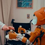 Sustainable Food Packaging Solutions: Reducing Waste and Protecting the Planet