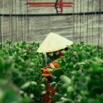 Blockchain Use Cases Beyond Crypto: Transforming Industries with Trust and Transparency