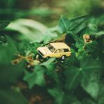 Future of Online Education: Transforming Learning in the Digital Age