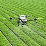 The Rise of Online Clothing Stores: Transforming the Fashion Retail Landscape