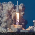 Organic Farming vs Conventional Farming: Profit Comparison