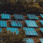 Regional Content Popularity: The Rise of Local Voices in a Global Digital World