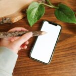 Custom Apparel Printing Market Growth: Trends Driving the Future of Personalized Fashion