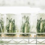 Crypto Regulations in India Explained: Understanding the Evolving Digital Asset Framework