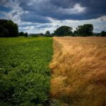 Sustainable Clothing Trends: Redefining Fashion for a Greener Future