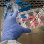 Navigating Complexity in International Trade: Understanding Global Logistics Challenges in a Rapidly Changing World