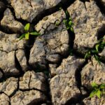 Supply Chain Risk Management: Building Resilience in a Complex Global Network