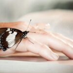 Manufacturing Supply Chain Integration: Building Seamless and Efficient Operations