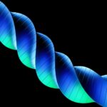 Risks of Crypto Investments: What Every Investor Should Know