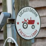 Job Roles That Are Safe from Automation: Human Skills That Machines Can’t Replace