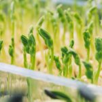 Fast Fashion vs Slow Fashion: The Changing Shift in Consumer Mindset