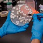 Blockchain in Supply Chain Transparency: Building Trust Through Technology