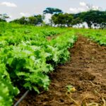 Textile Industry Innovations: Weaving the Future of Fashion and Function