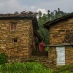 Organic Food Demand: A Growing Shift Toward Health and Sustainability