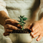 Supply Chain Resilience Strategies: Building Agility in an Uncertain World