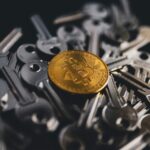 Car Subscription Models: Redefining Vehicle Ownership and Mobility