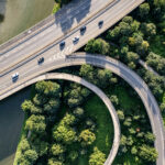 Biotechnology and Life Sciences Integration: Driving Innovation in Healthcare and Beyond