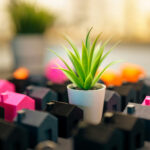 E-Commerce vs Offline Retail: Understanding the Future of Shopping