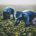 The Role of Startups in Space Innovation: Transforming the Future Beyond Earth